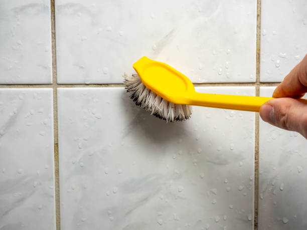 Best Mold Testing and Removal  in Atkins, IA