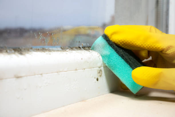 Best Residential Mold Removal  in Atkins, IA