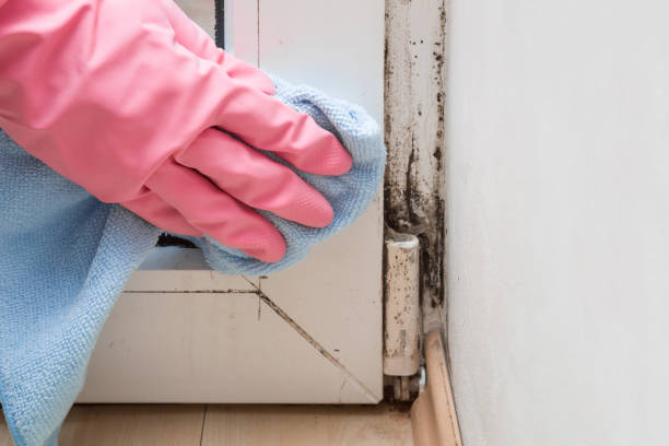 Best Emergency Mold Removal  in Atkins, IA